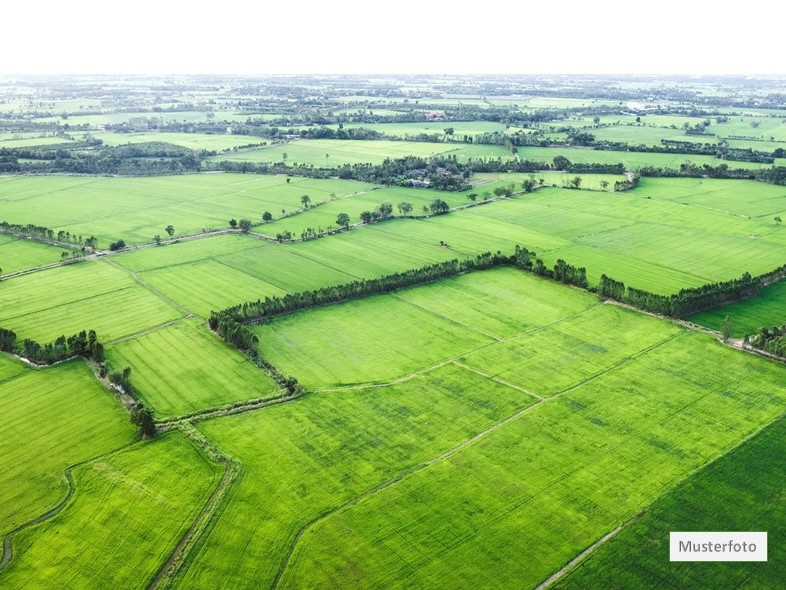 Zwangsversteigerung Münster, Hinter dem Dorf